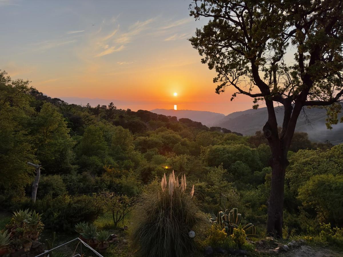 Cefalu Forest Hideout Εξωτερικό φωτογραφία