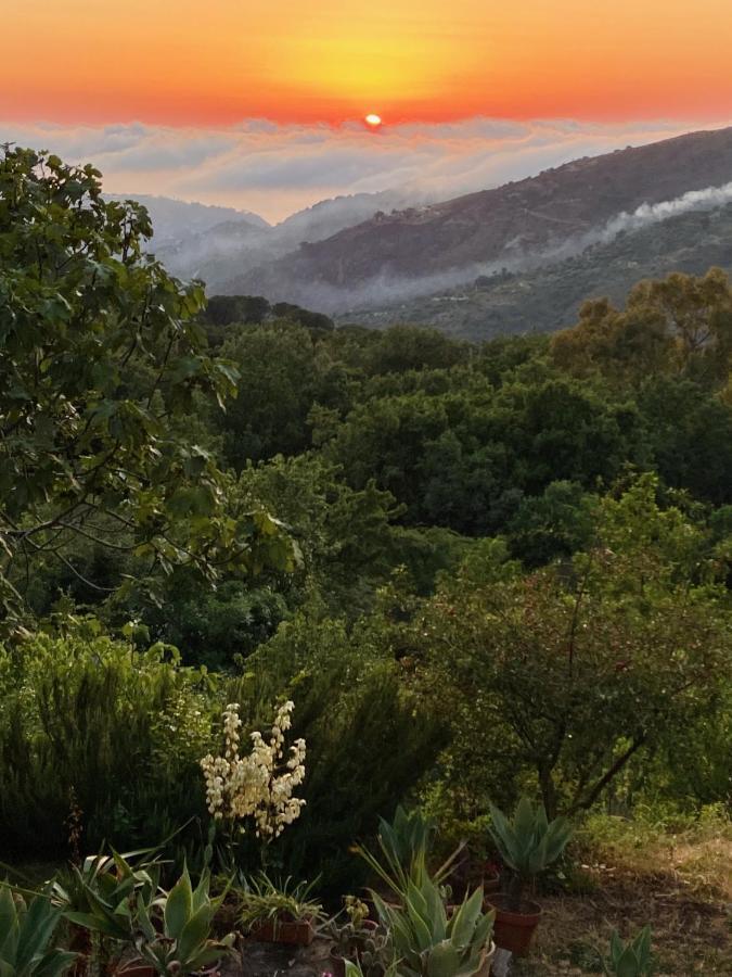 Cefalu Forest Hideout Εξωτερικό φωτογραφία
