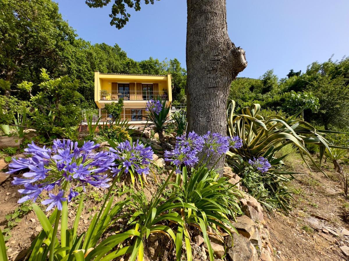 Cefalu Forest Hideout Εξωτερικό φωτογραφία
